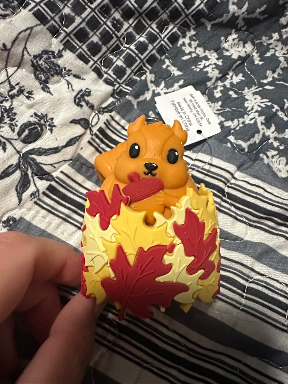 Squirrel with Leaves Pocketbac Holder